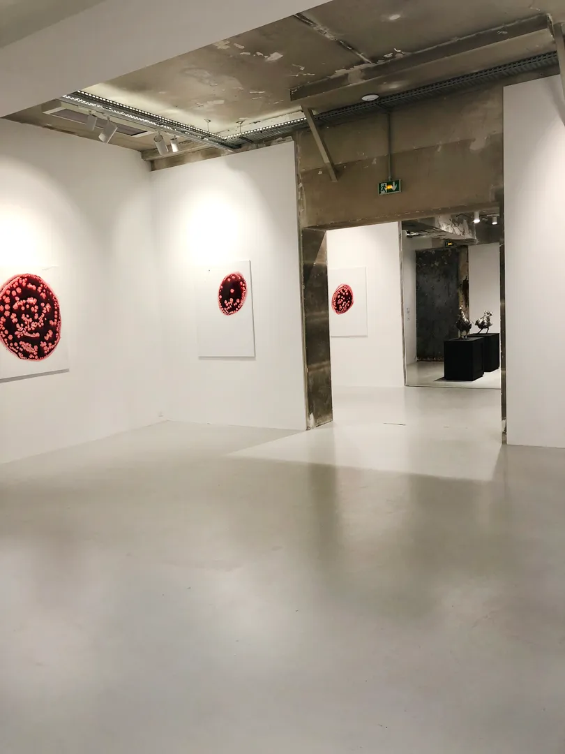 Galerie Romaine  - Photo 3