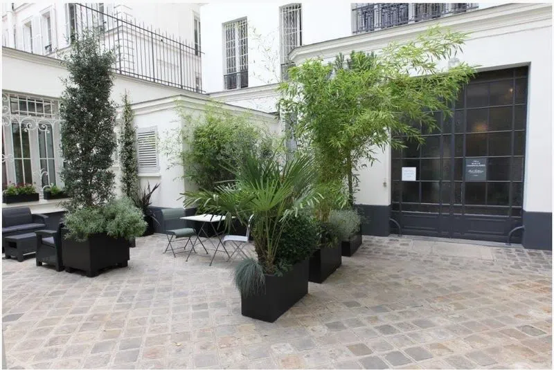 La Cour - Photo 4