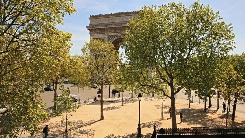 Le Triomphe - Photo 4