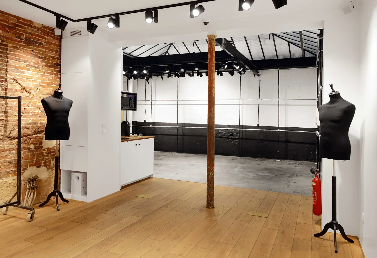 Pop Up David - Photo 4
