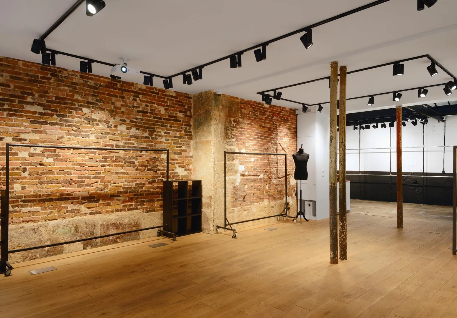 Pop Up David - Photo 5