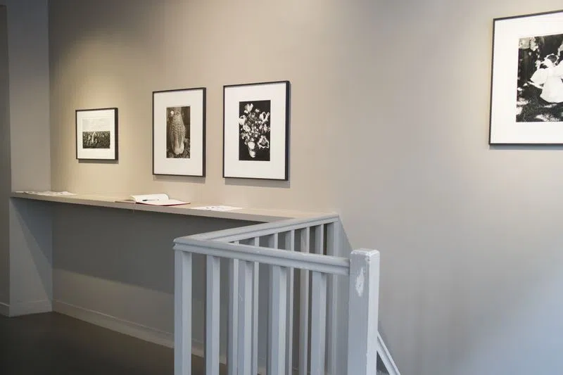Showroom d'Agathe - Photo 5