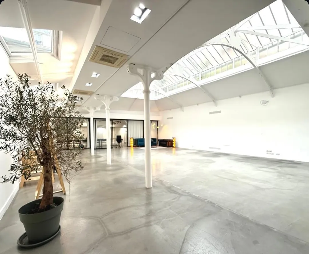 Showroom Light - Photo 4