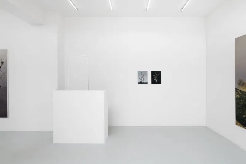 Showroom TOM - Photo 8